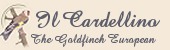 Il Cardellino