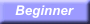 Beginner