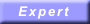 Expert