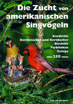 Die Zucht von amerikanischen Singvgeln
