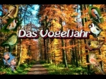 Das Vogeljahr DVD