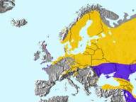 Verbreitung des europ. Karmingimpel